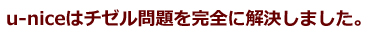 u-niceはチゼル問題を完全に解決しました